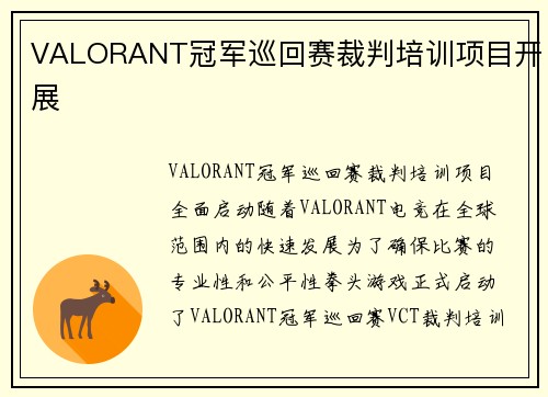 VALORANT冠军巡回赛裁判培训项目开展 VALORANT冠军巡回赛裁判培训项目开展
