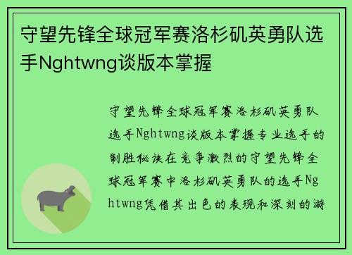 守望先锋全球冠军赛洛杉矶英勇队选手Nghtwng谈版本掌握
